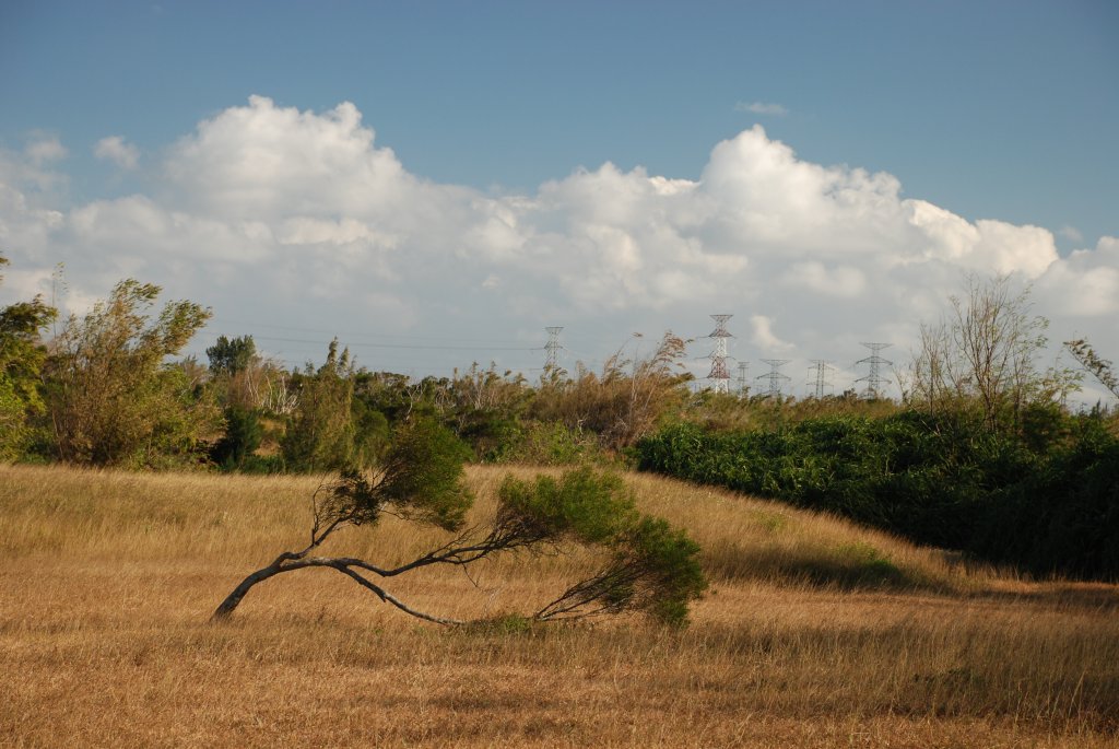 DSC_0450.JPG