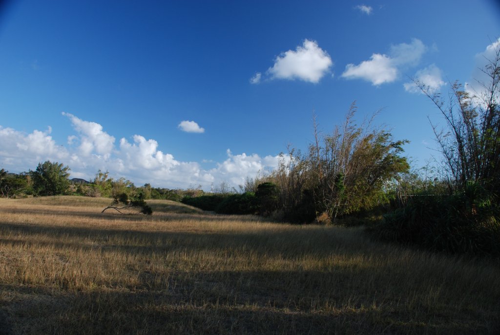 DSC_0532.JPG