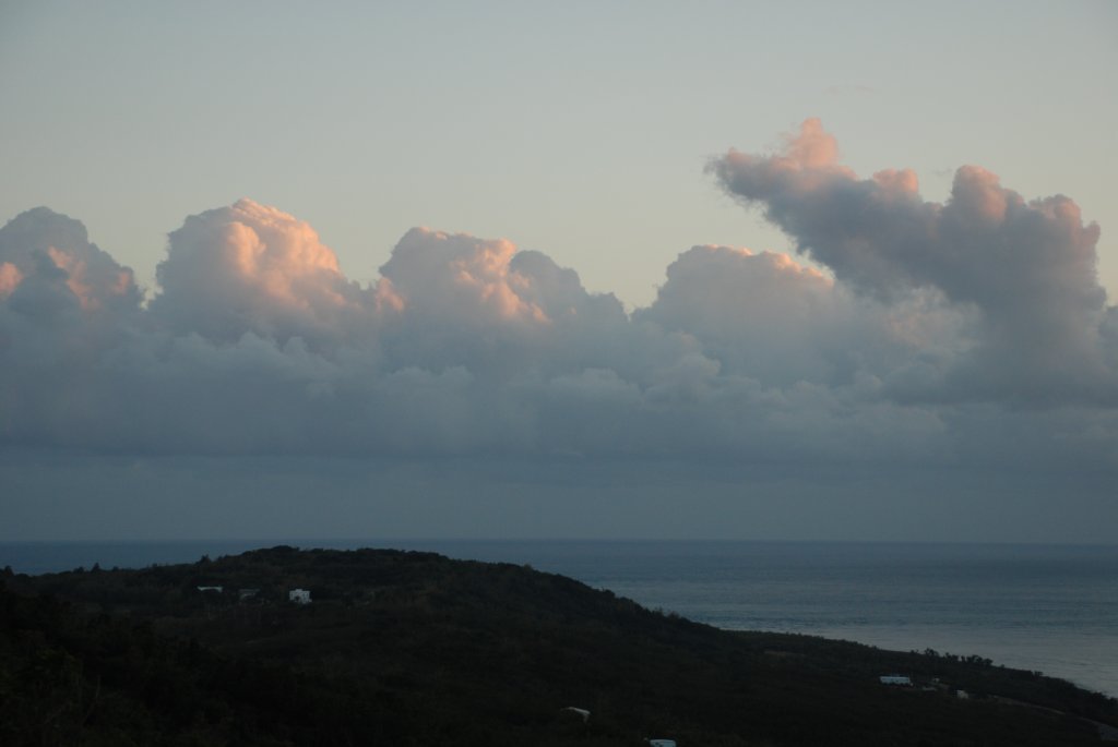 DSC_0601.JPG