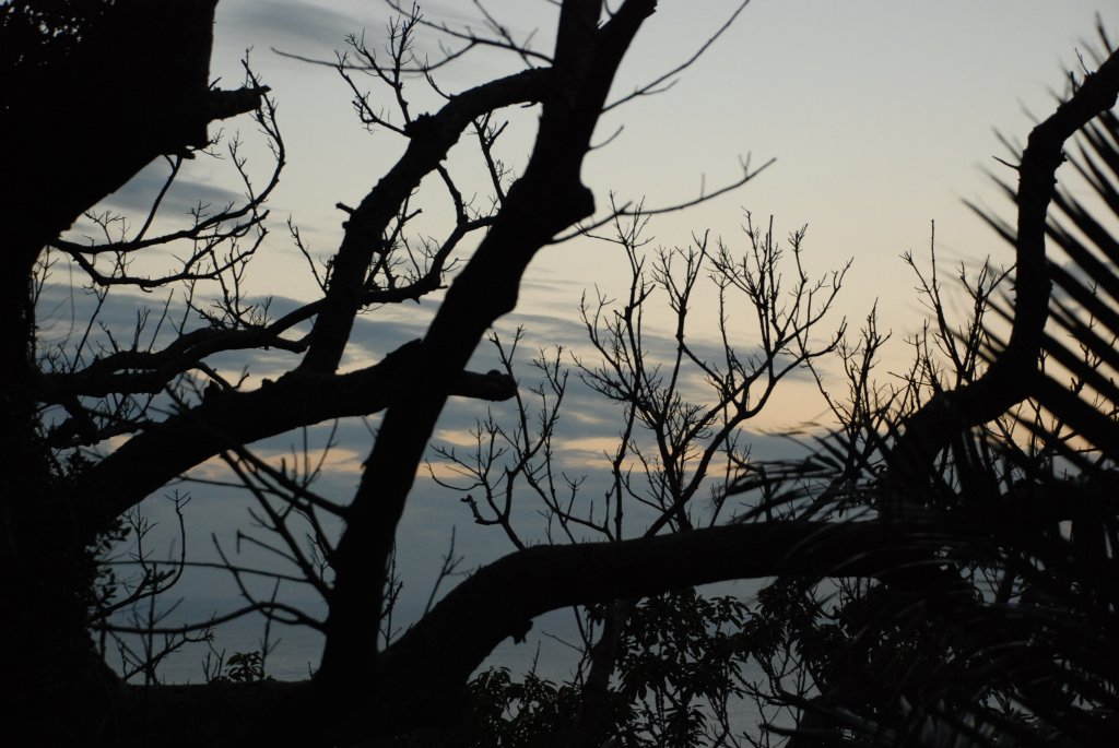 DSC_0610.JPG