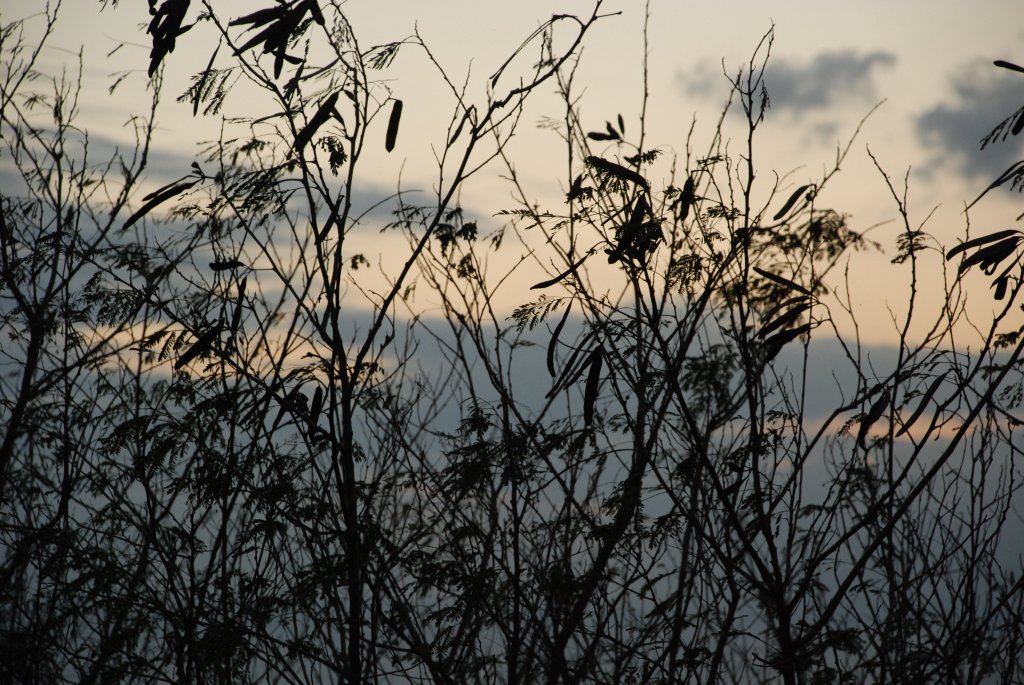 DSC_0611.JPG