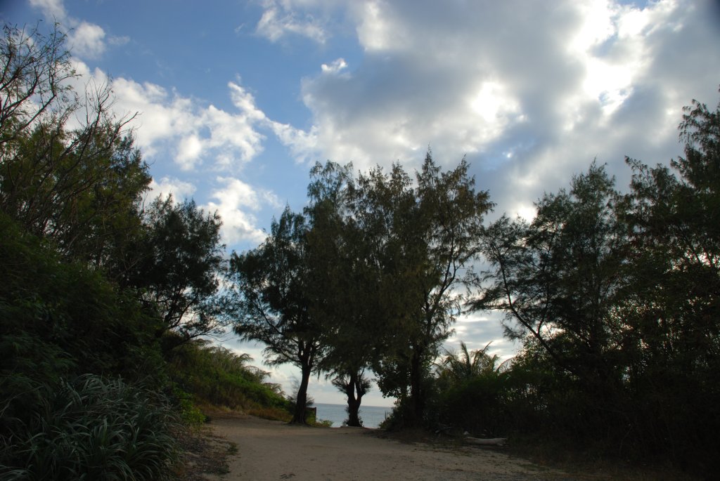 DSC_0813.JPG