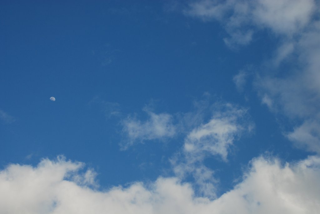 DSC_0819.JPG