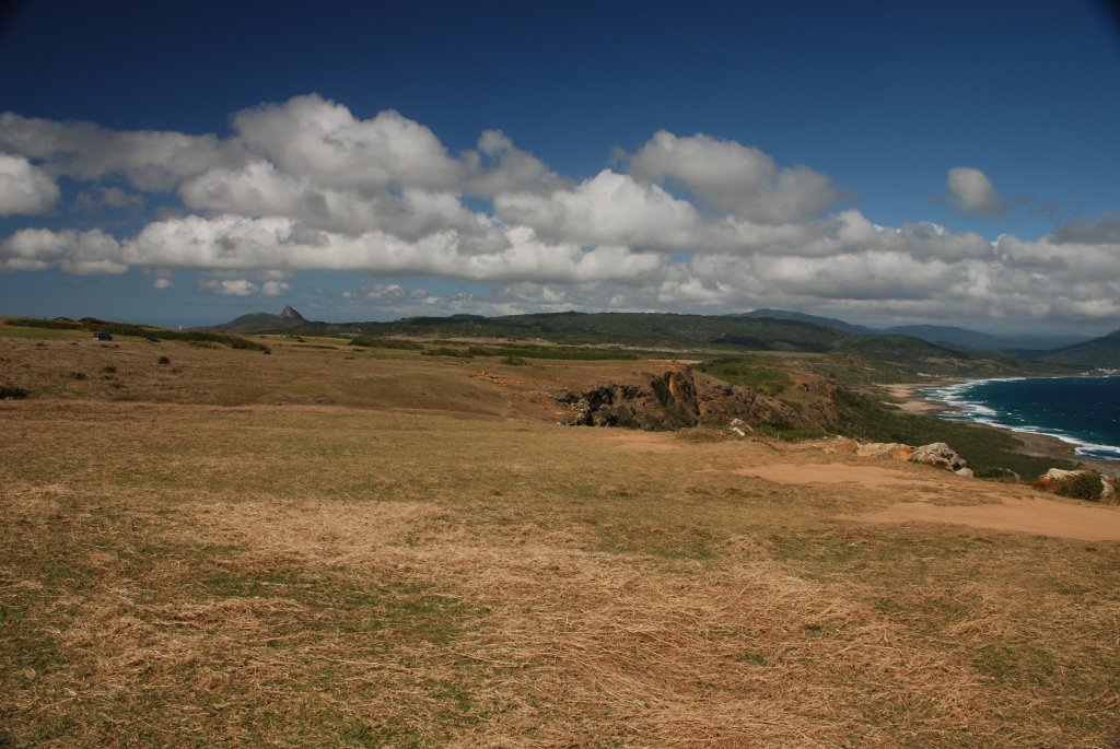 DSC_0832.JPG
