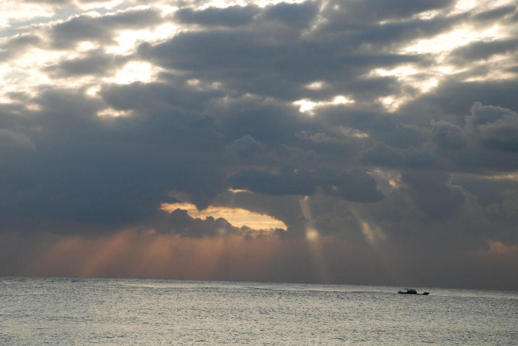 DSC_0846.JPG