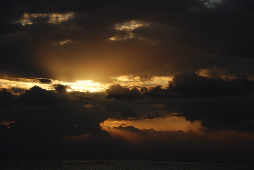 DSC_0905.JPG