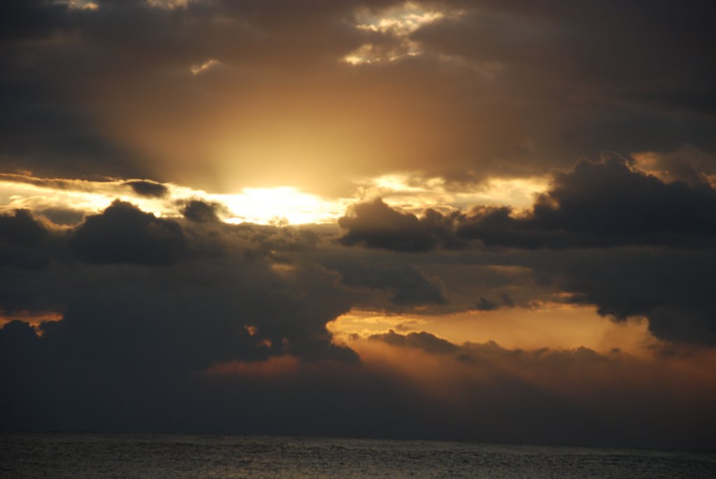 DSC_0906.JPG