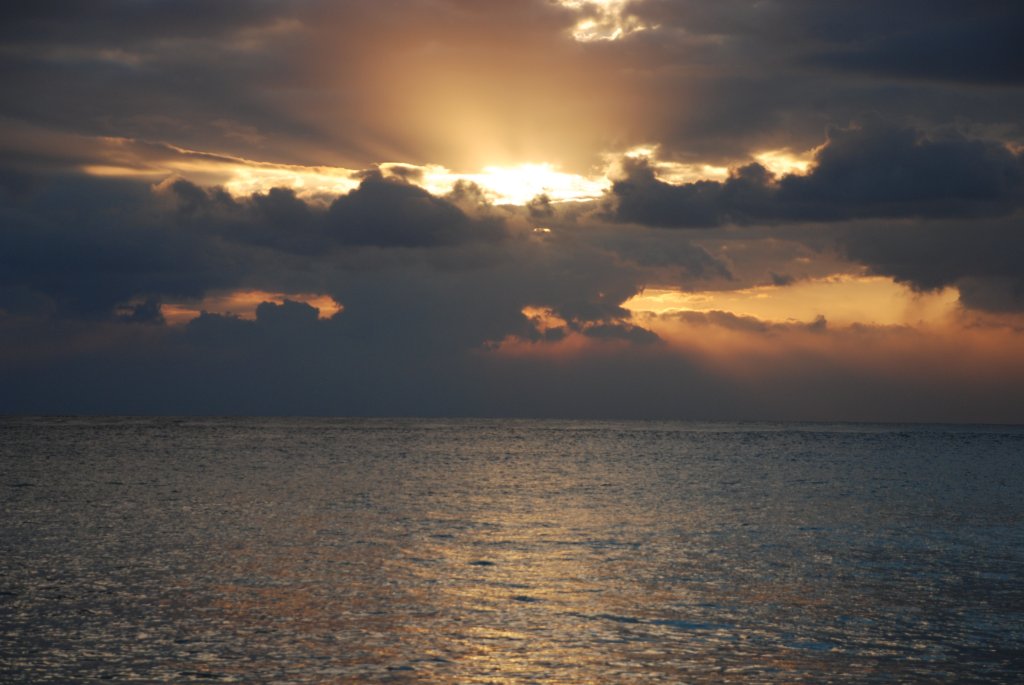 DSC_0911.JPG