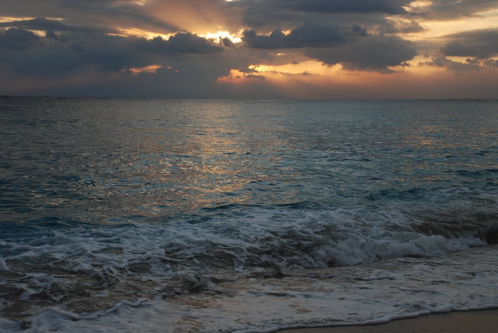 DSC_0917.JPG