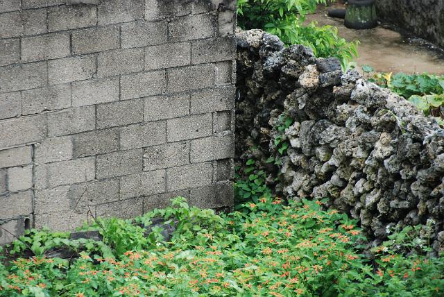 DSC_0086
