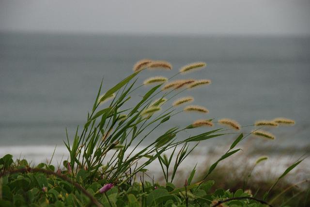 DSC_0942