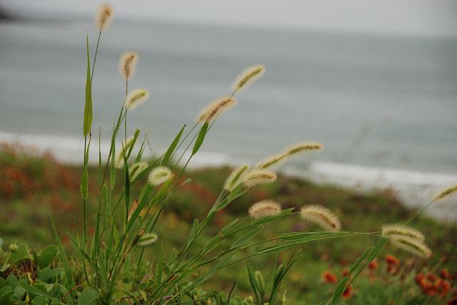 DSC_0949